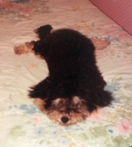 TmSXS6NURTehh61g353F5A